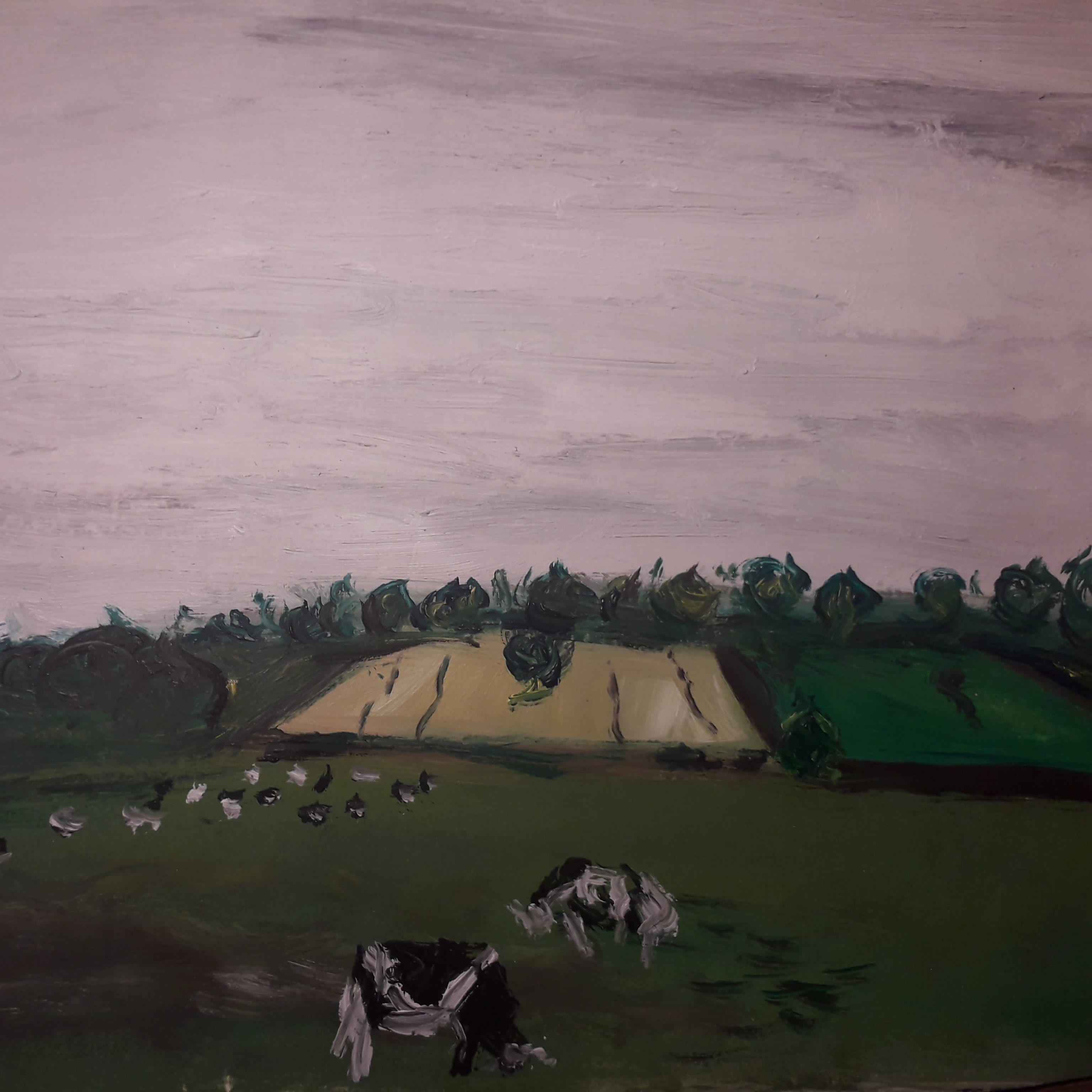 Feild Of Cows - Oil on Paper - 8.25×11.5 - £10.00
