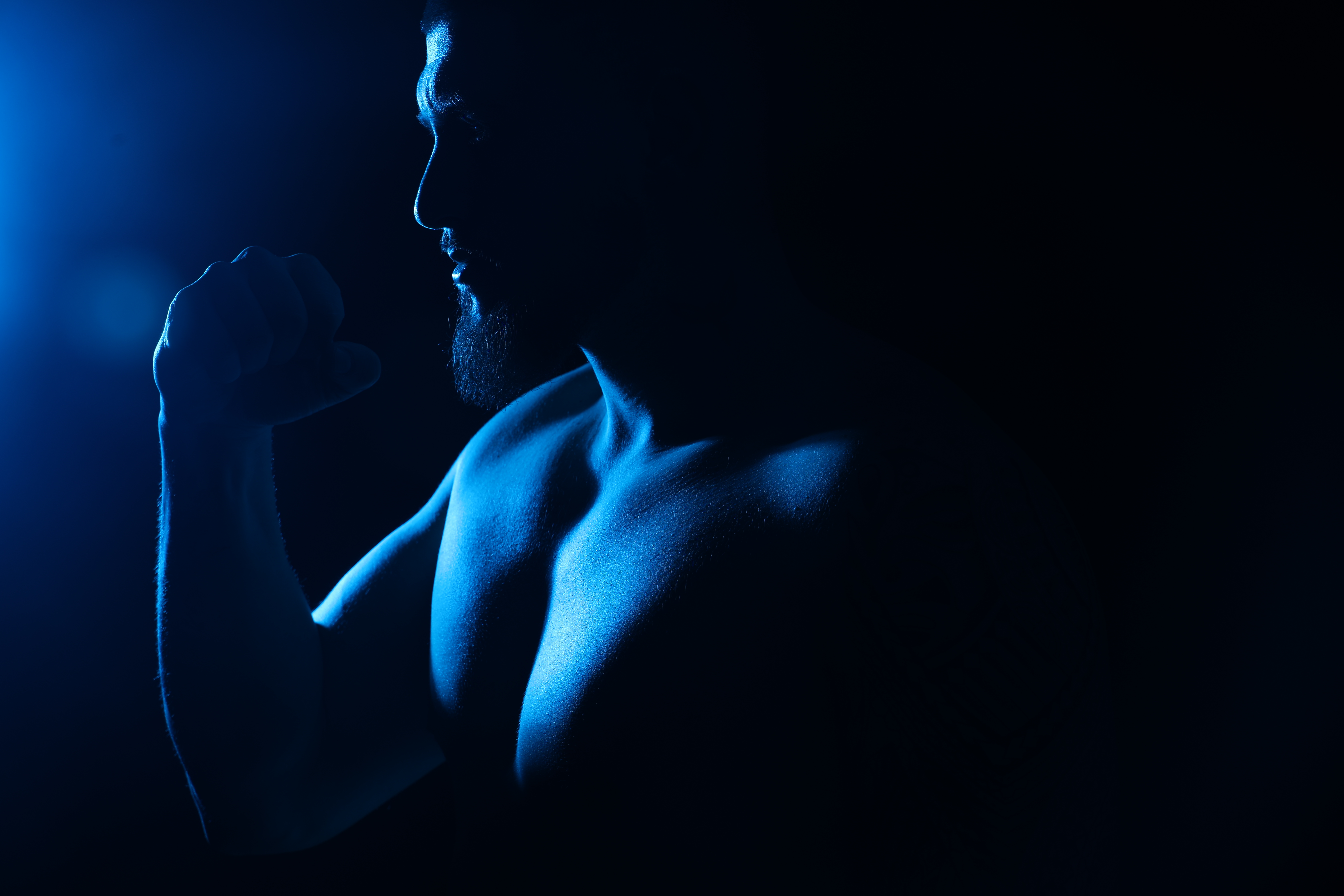 The fighter