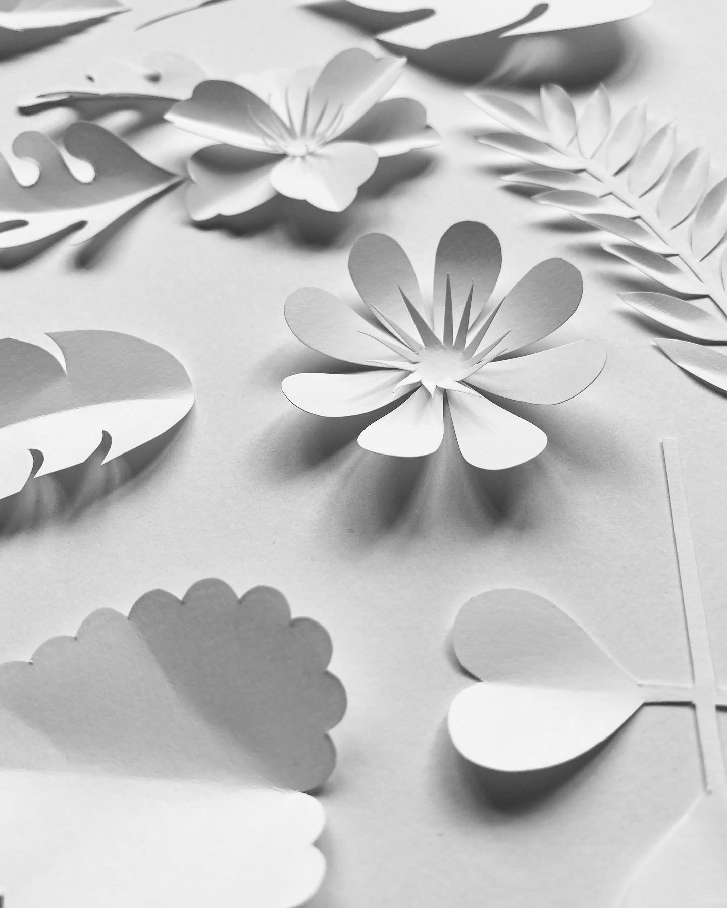 White floral paper cut illustration made as a gift