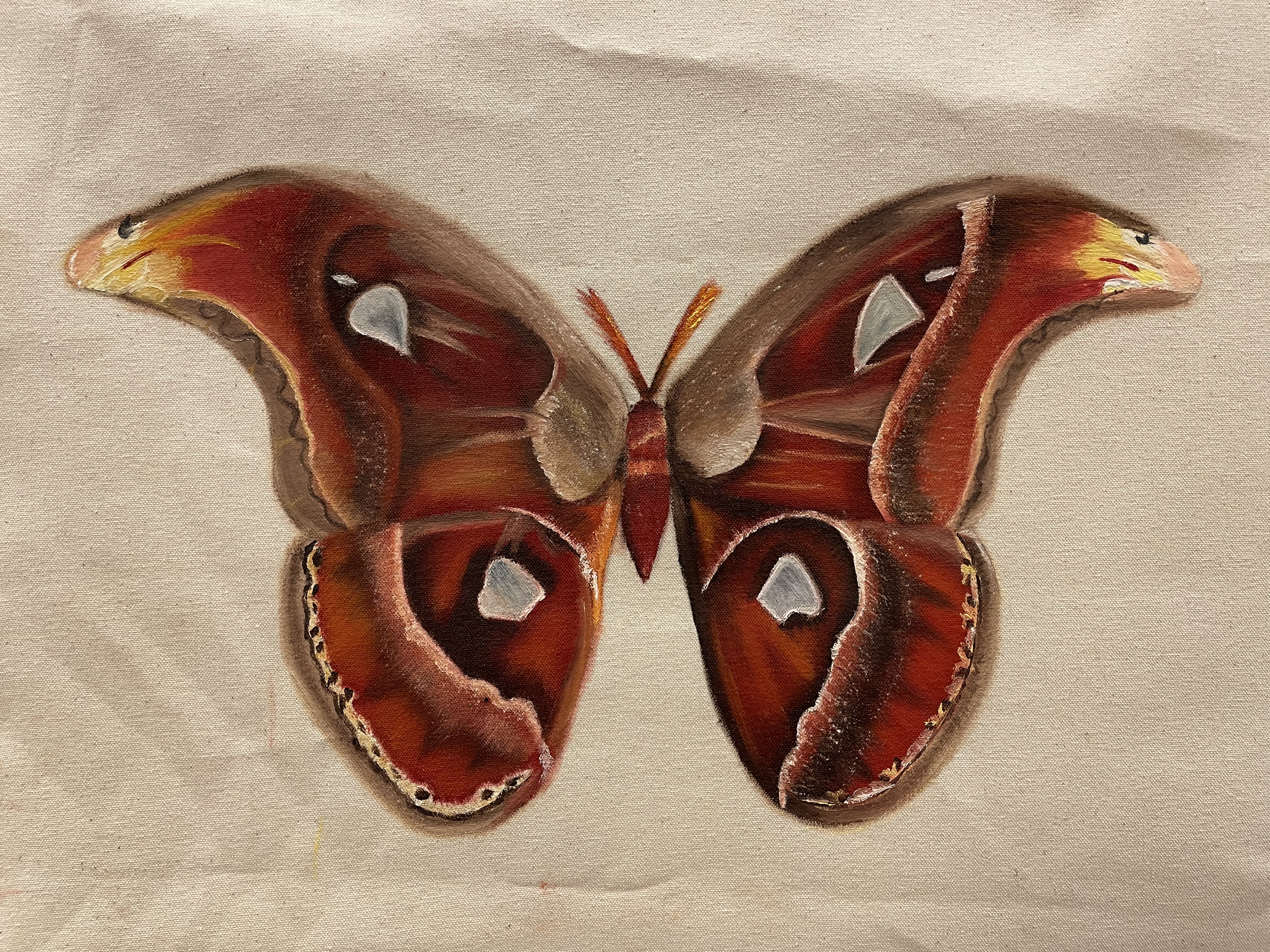 UNIT 1 CSM - Atlas Moth. Oil paint on unprimed, unstretched canvas