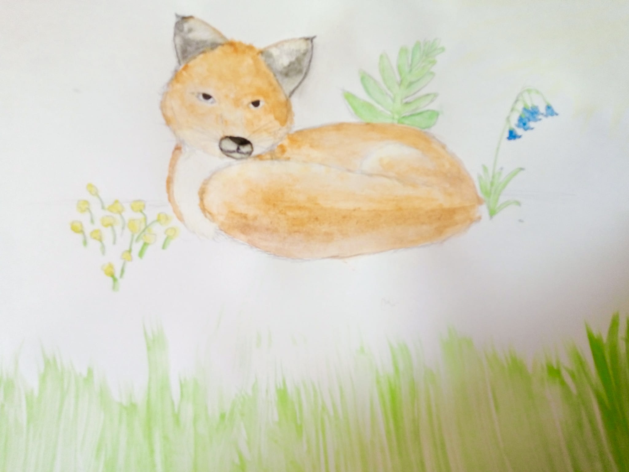 Foxglove Forest [watercolour]