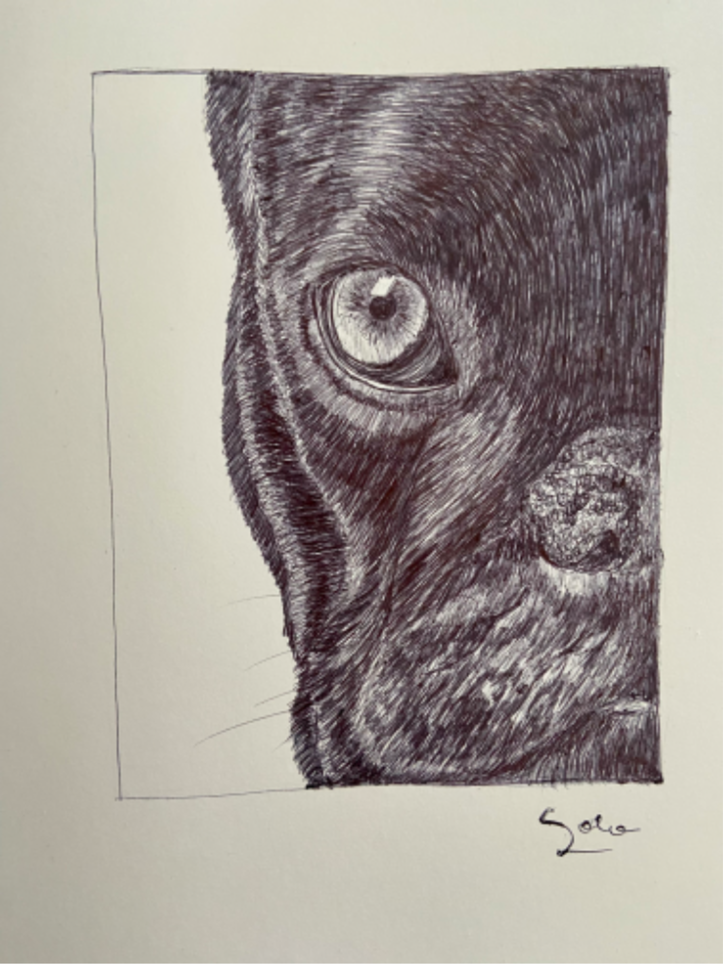 Ballpen Dog 🐩