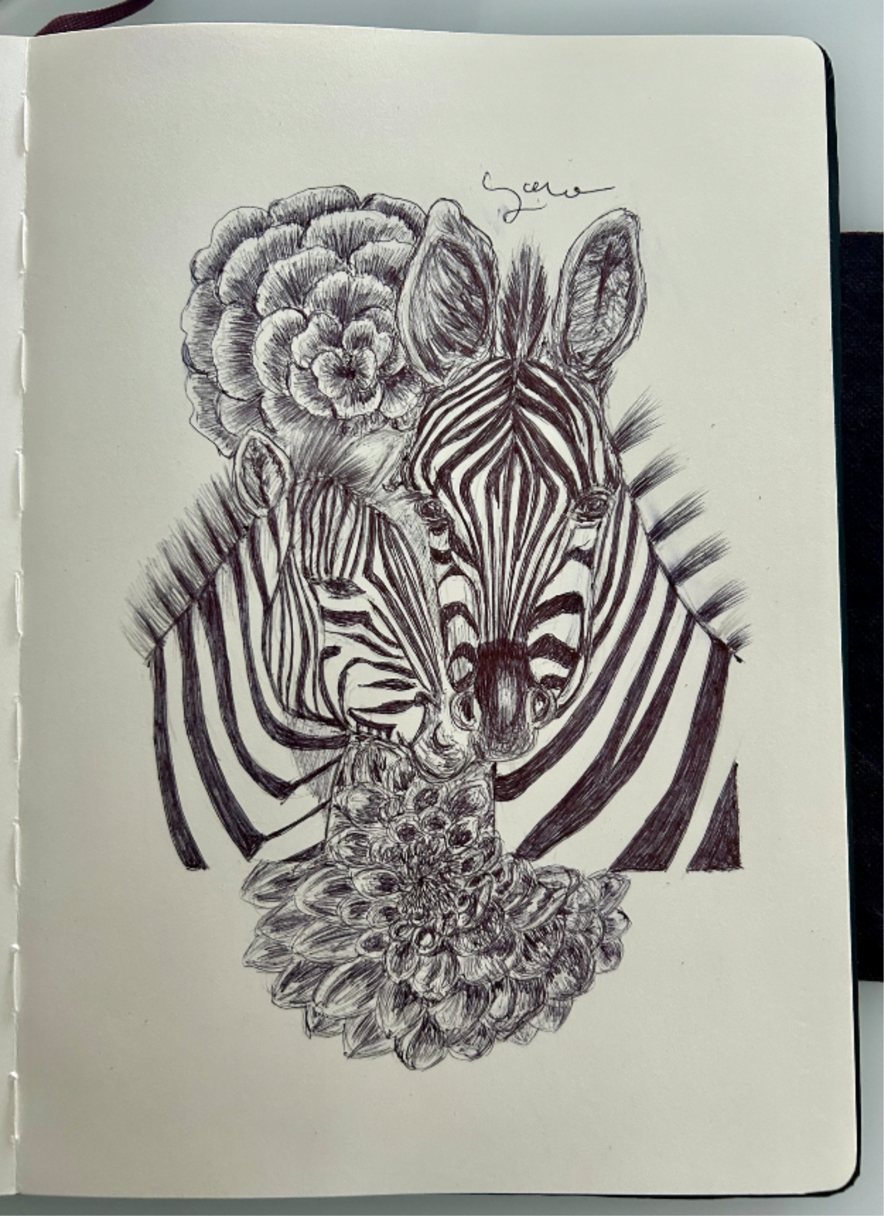 Ballpen Zebra 🦓