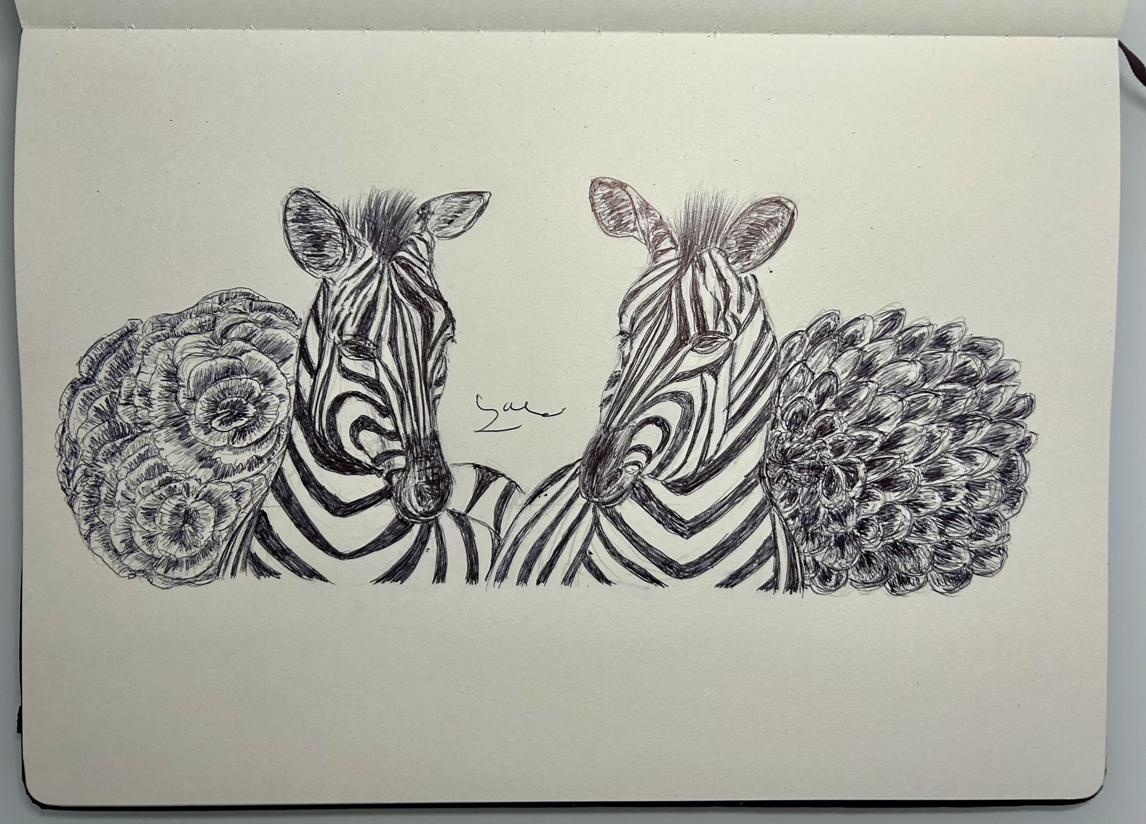 Ballpen Zebra 🦓