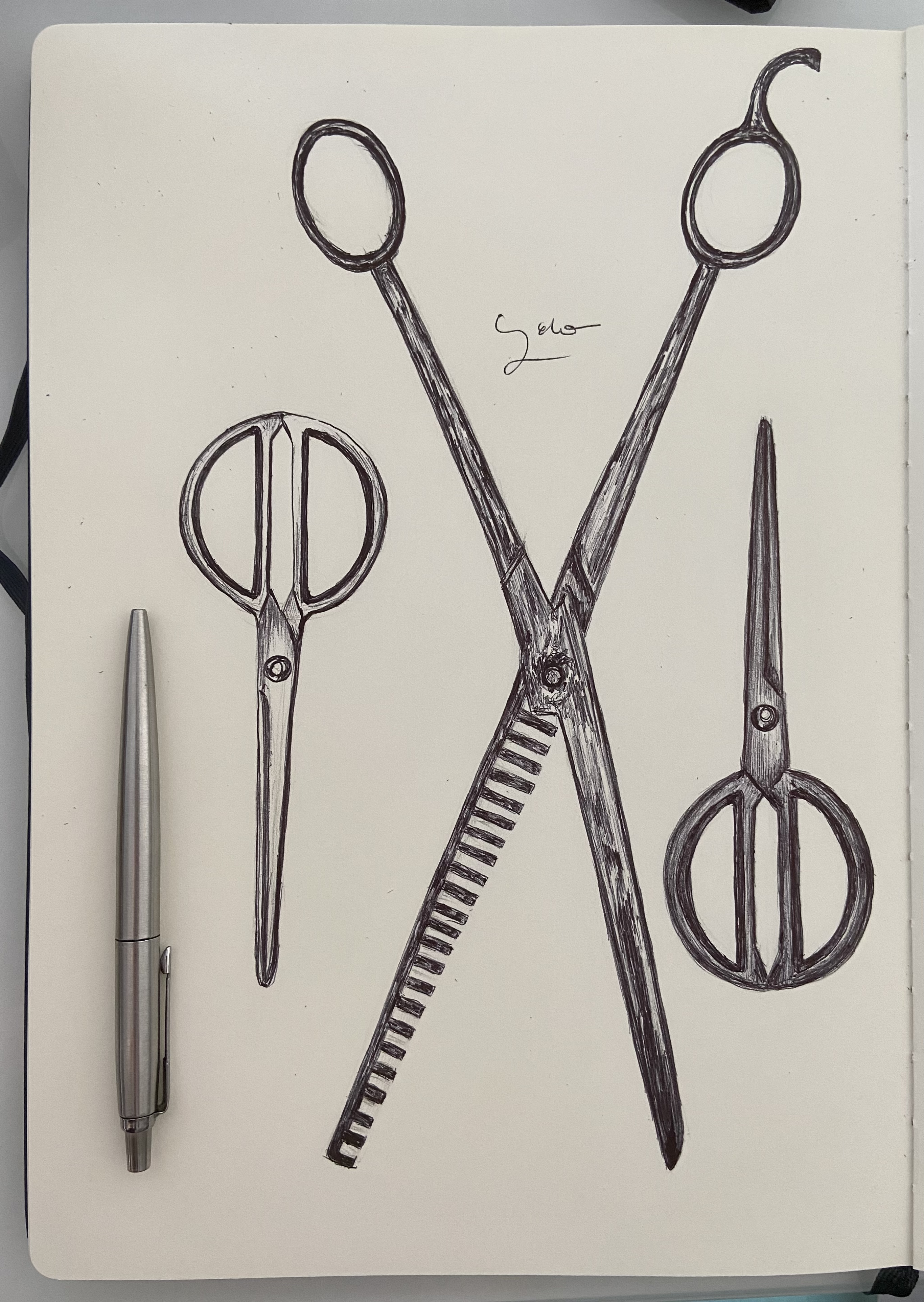 Ballpen Scissors ✂️