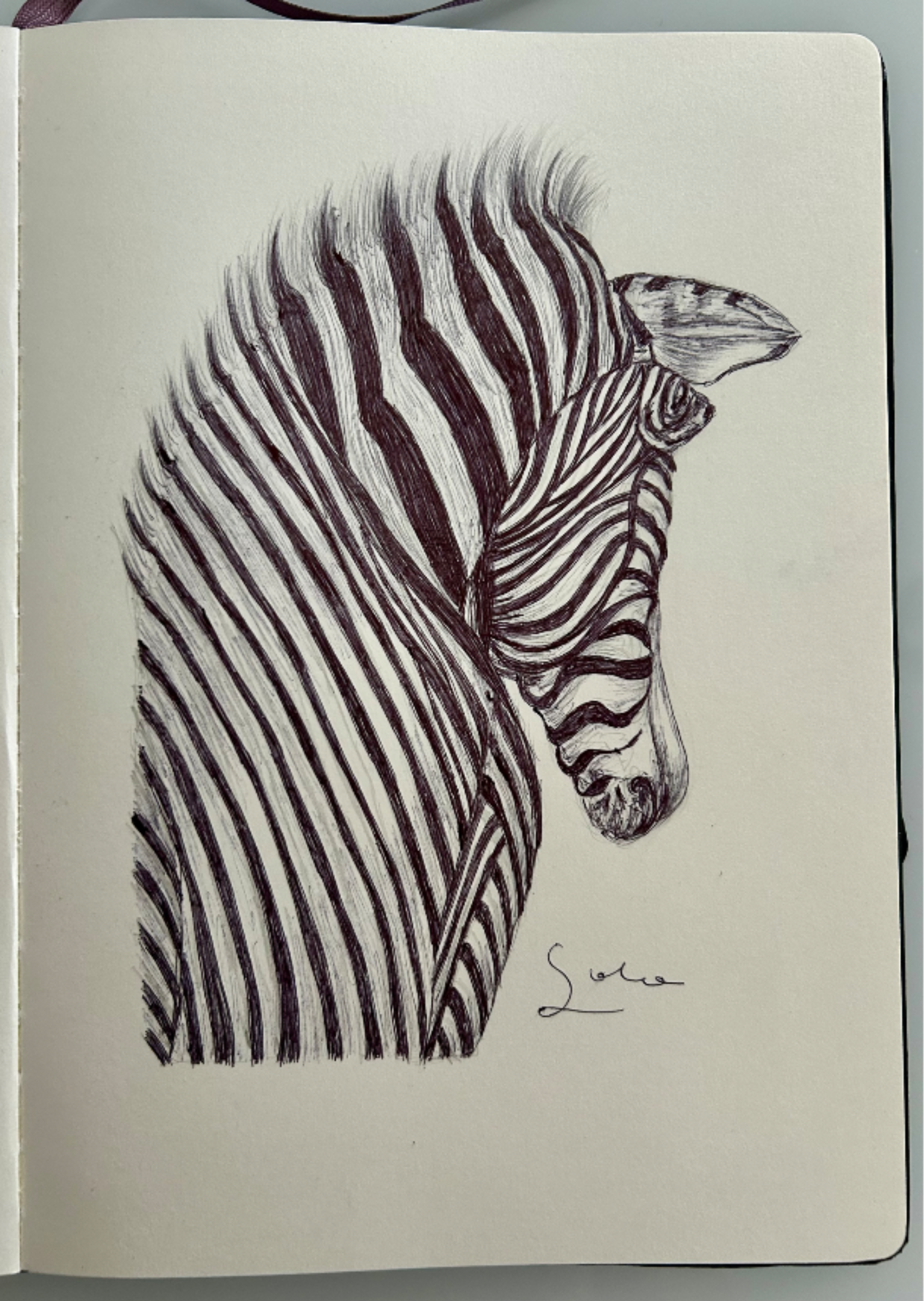 🦓 Ballpen Zebra 🦓