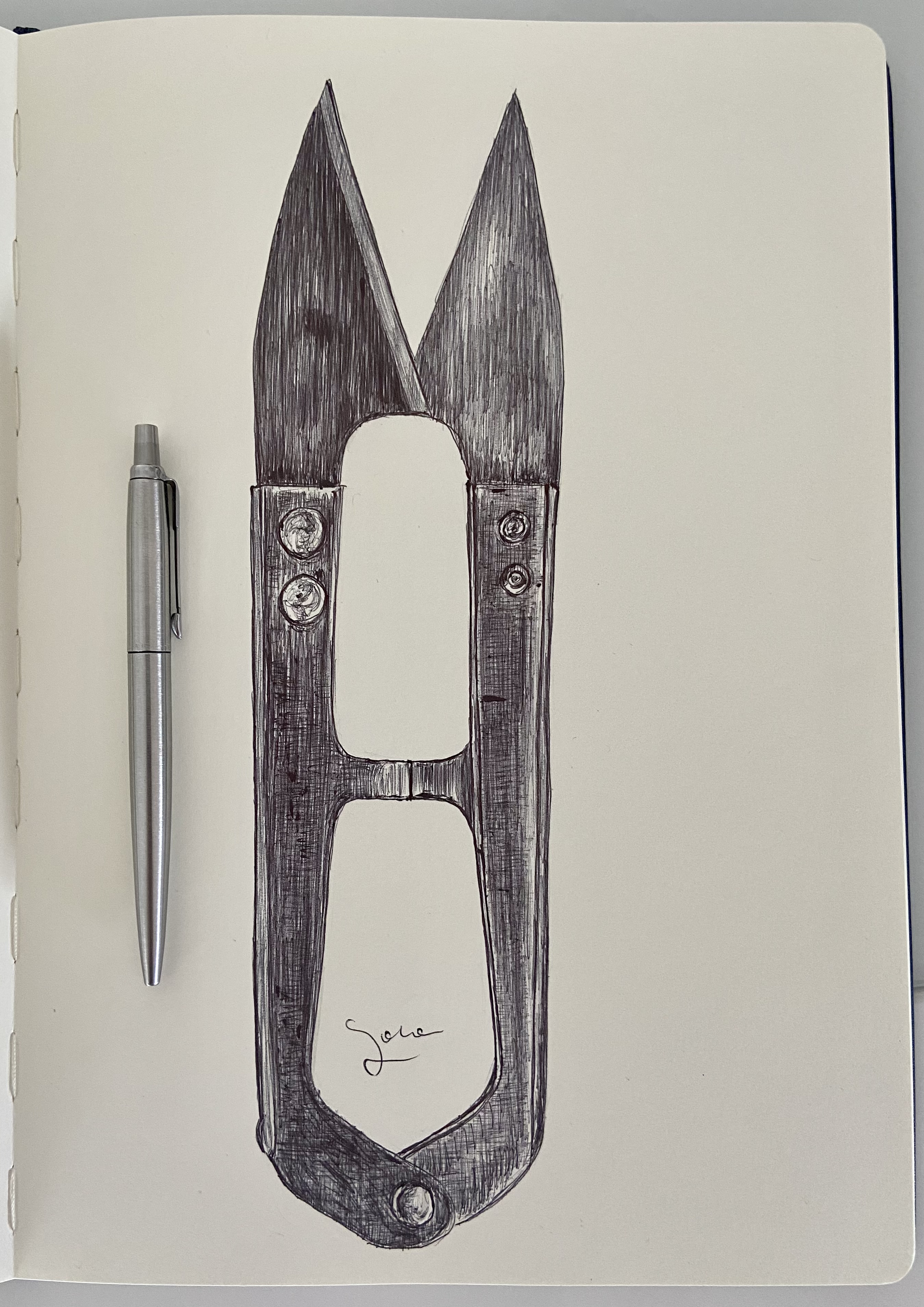 Ballpen Scissors ✂️
