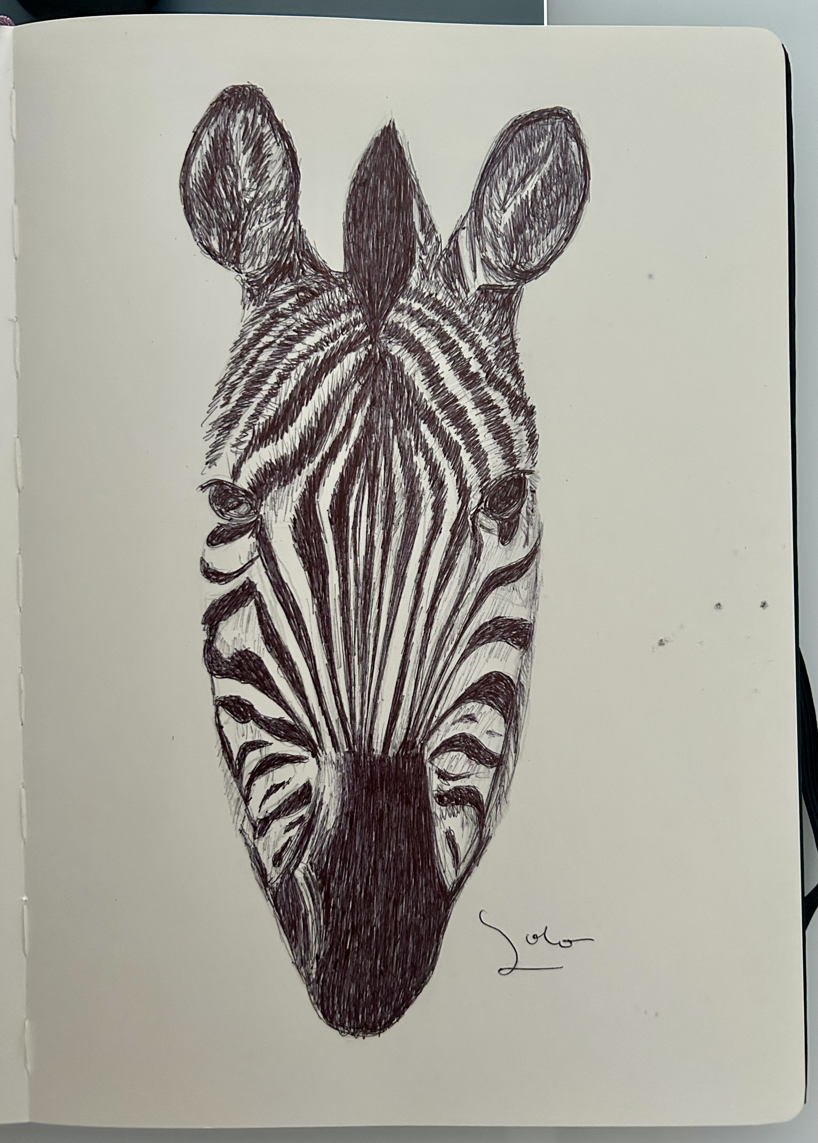 🦓 Ballpen Zebra 🦓