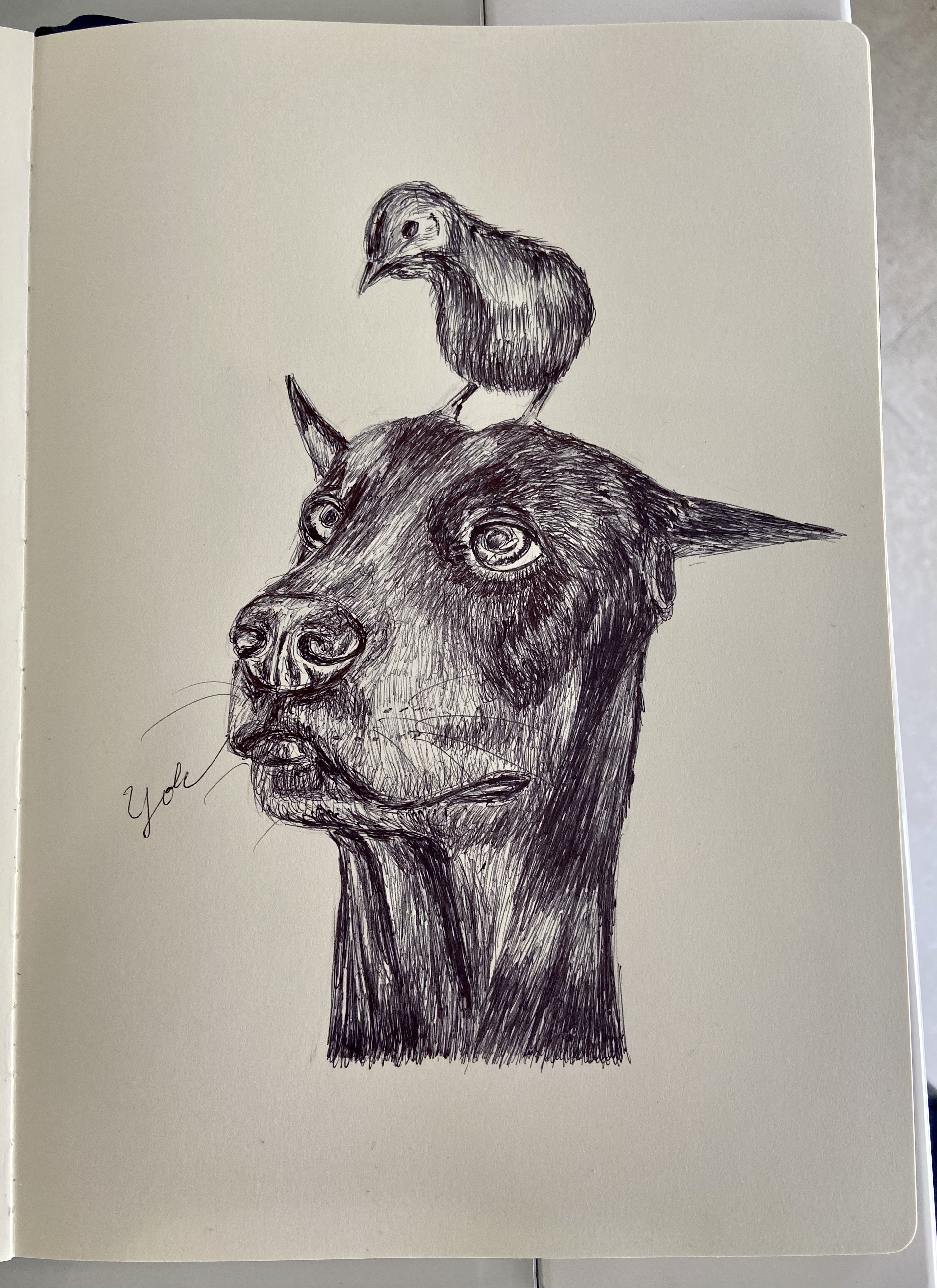 Ballpen Dog 🐩