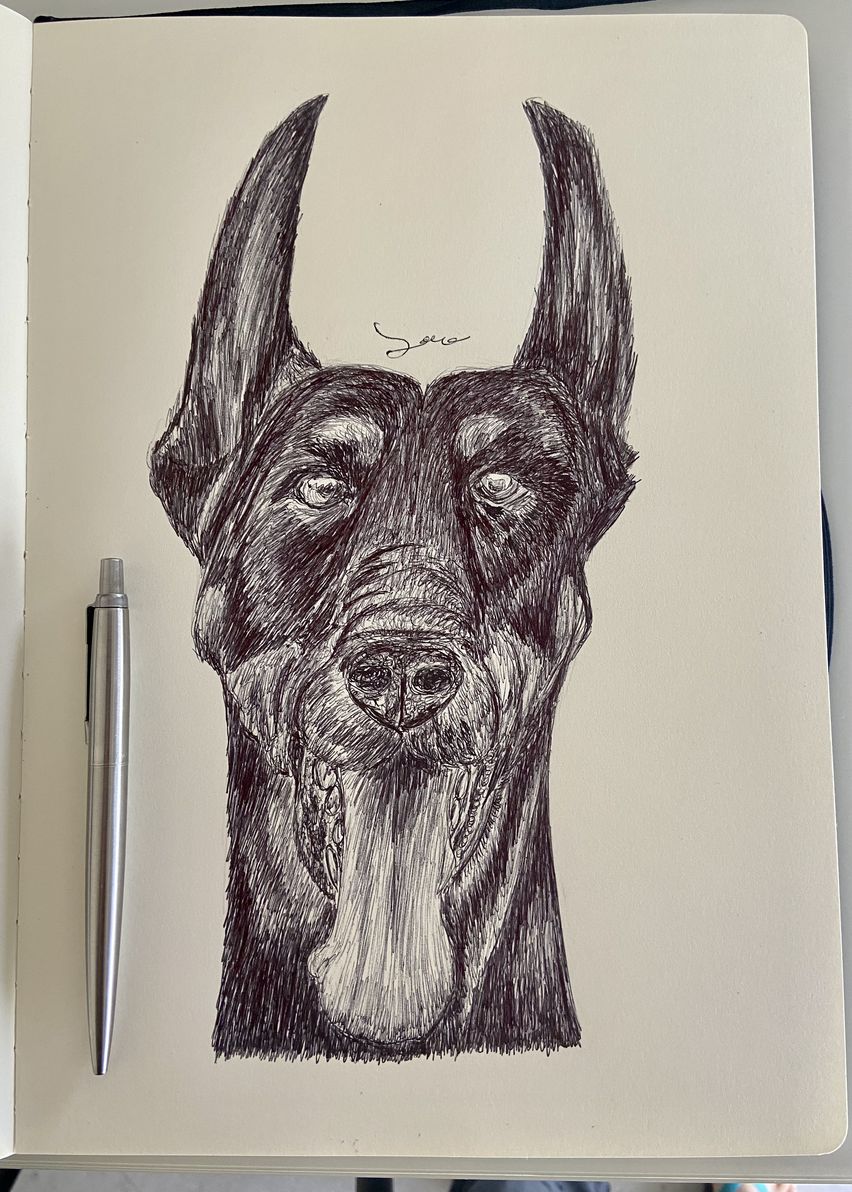 Ballpen Dog 🐩