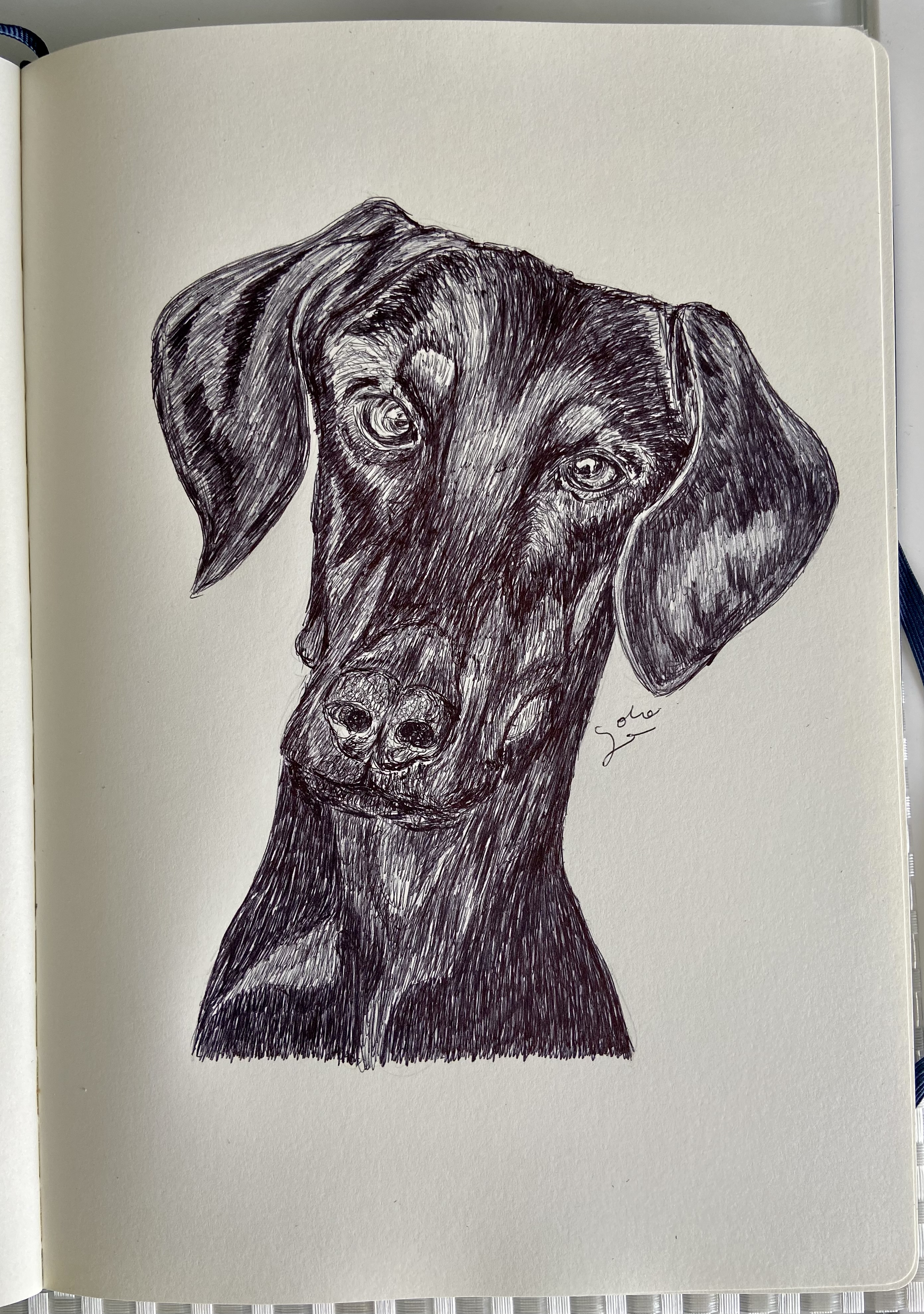 Ballpen Dog 🐩