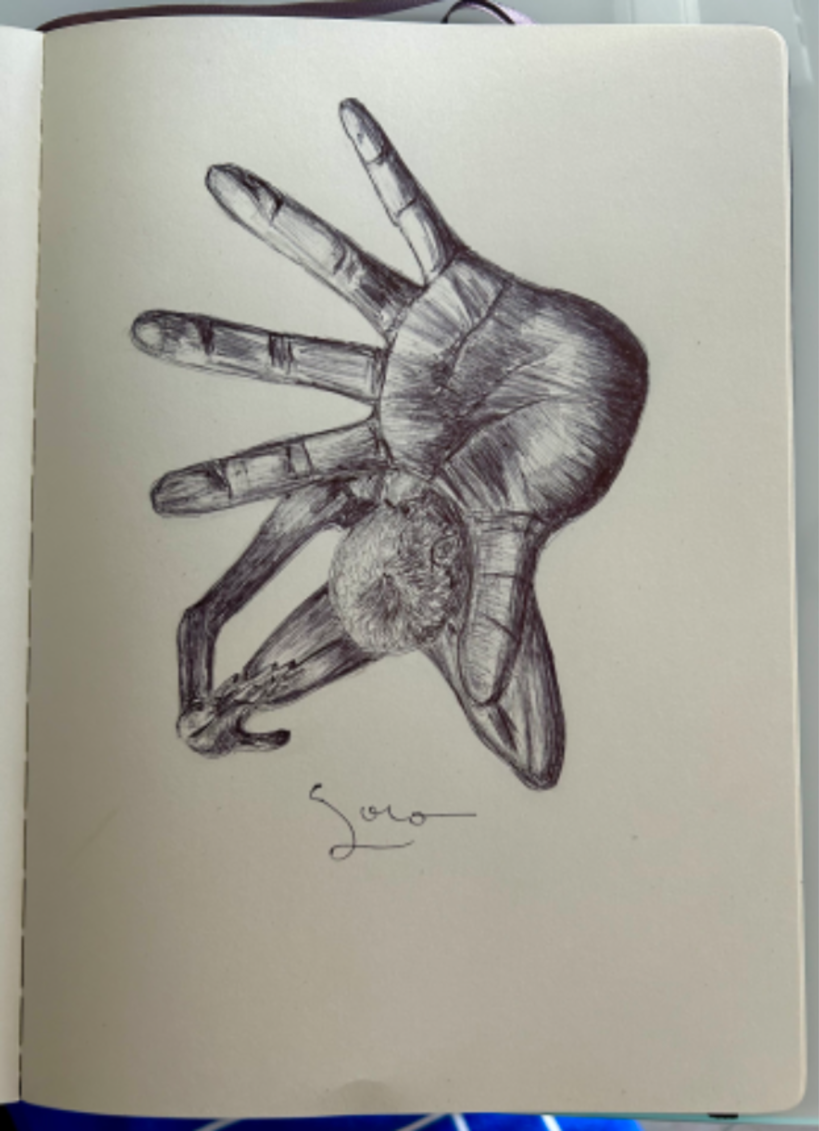 Ballpen Hands 🙌🏻