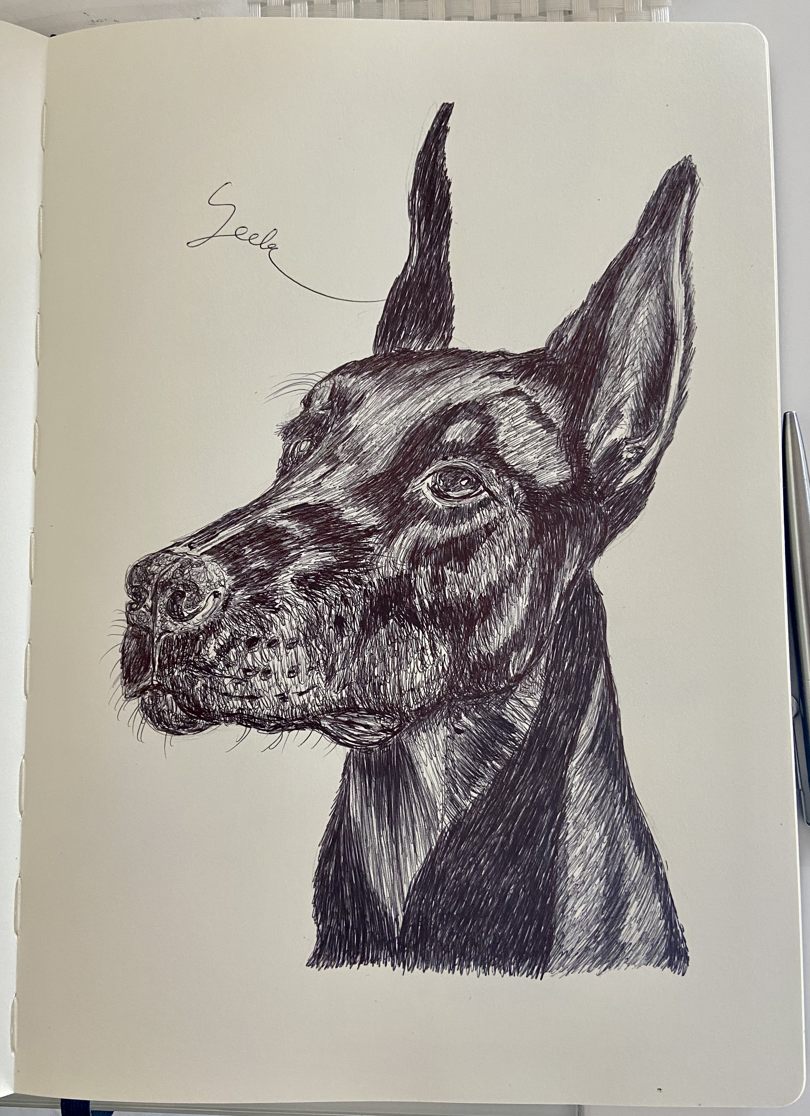Ballpen Dog 🐩