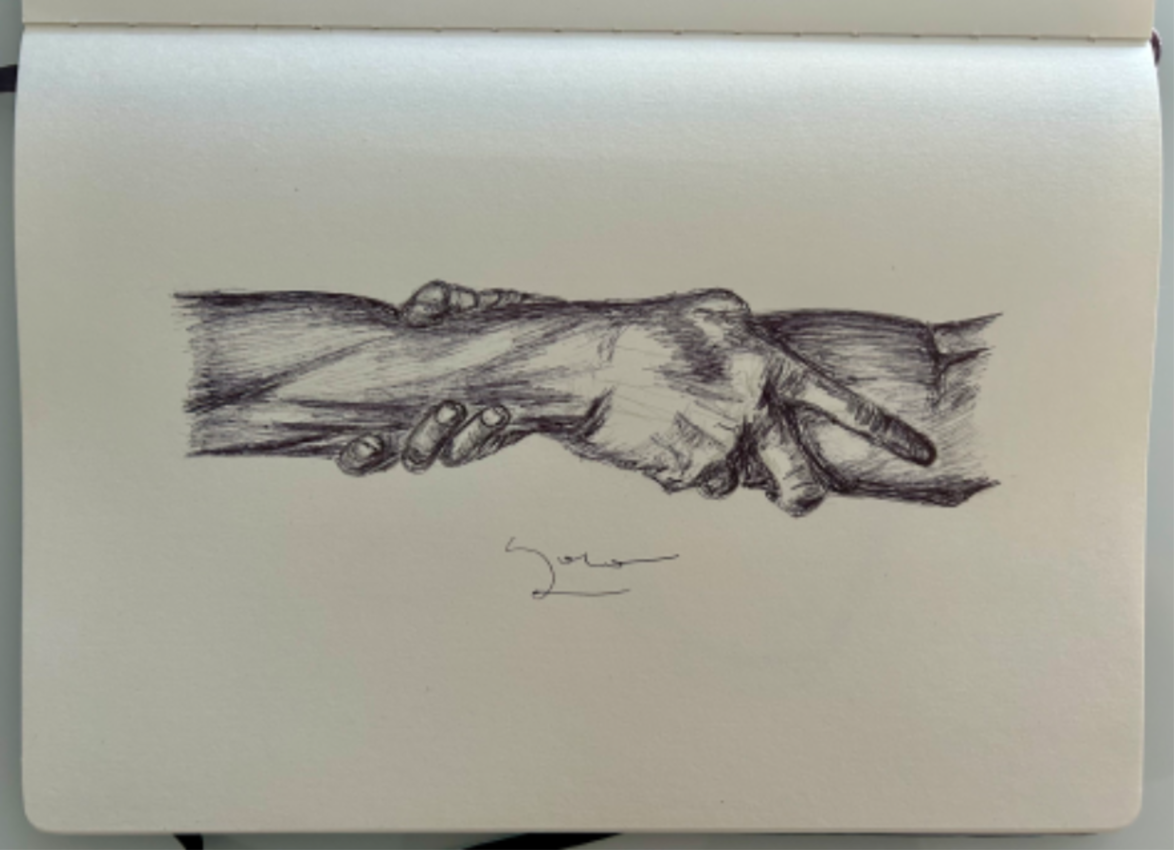 Ballpen Hands 🙌🏻