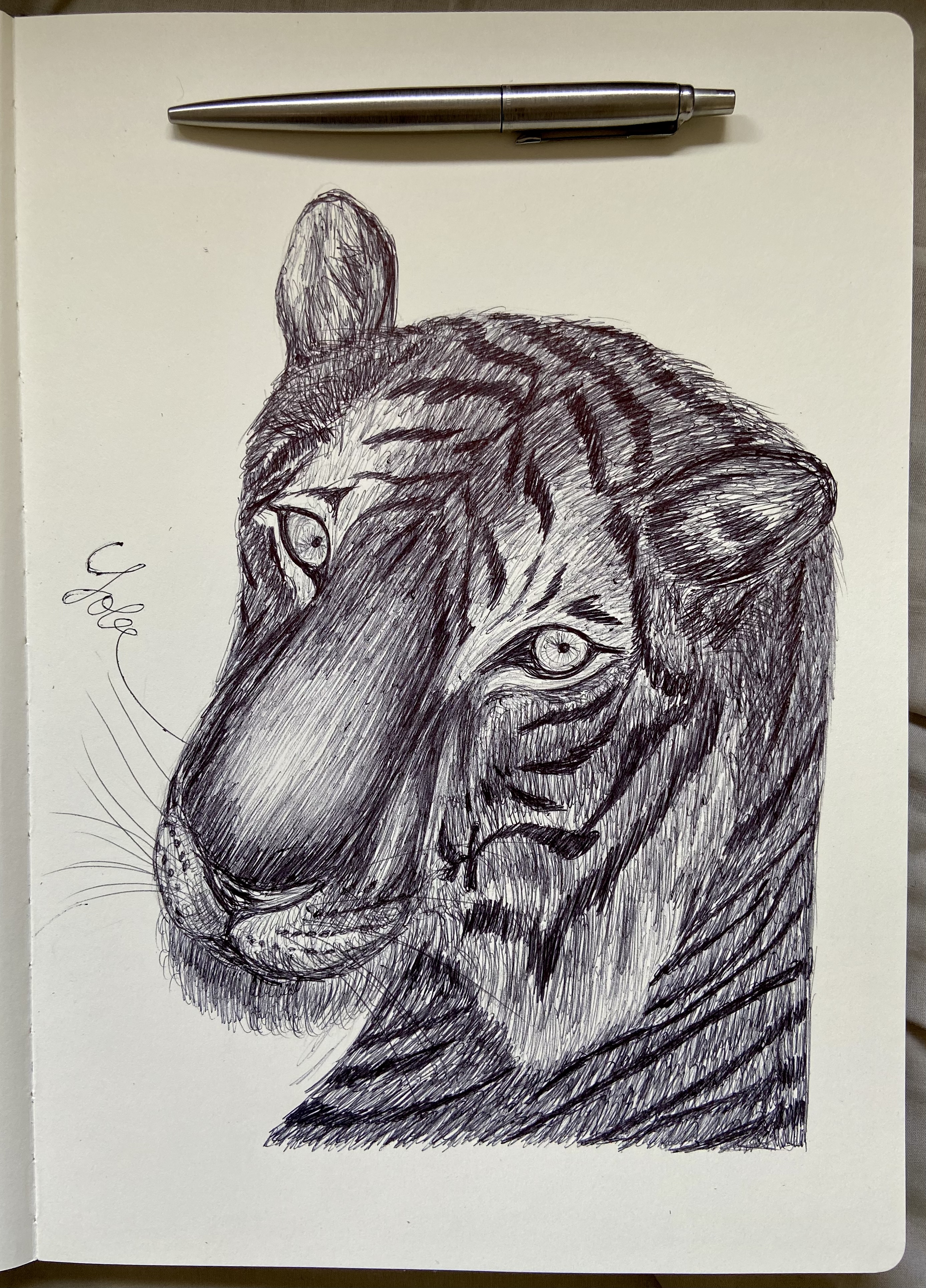Ballpen Tiger 🐅