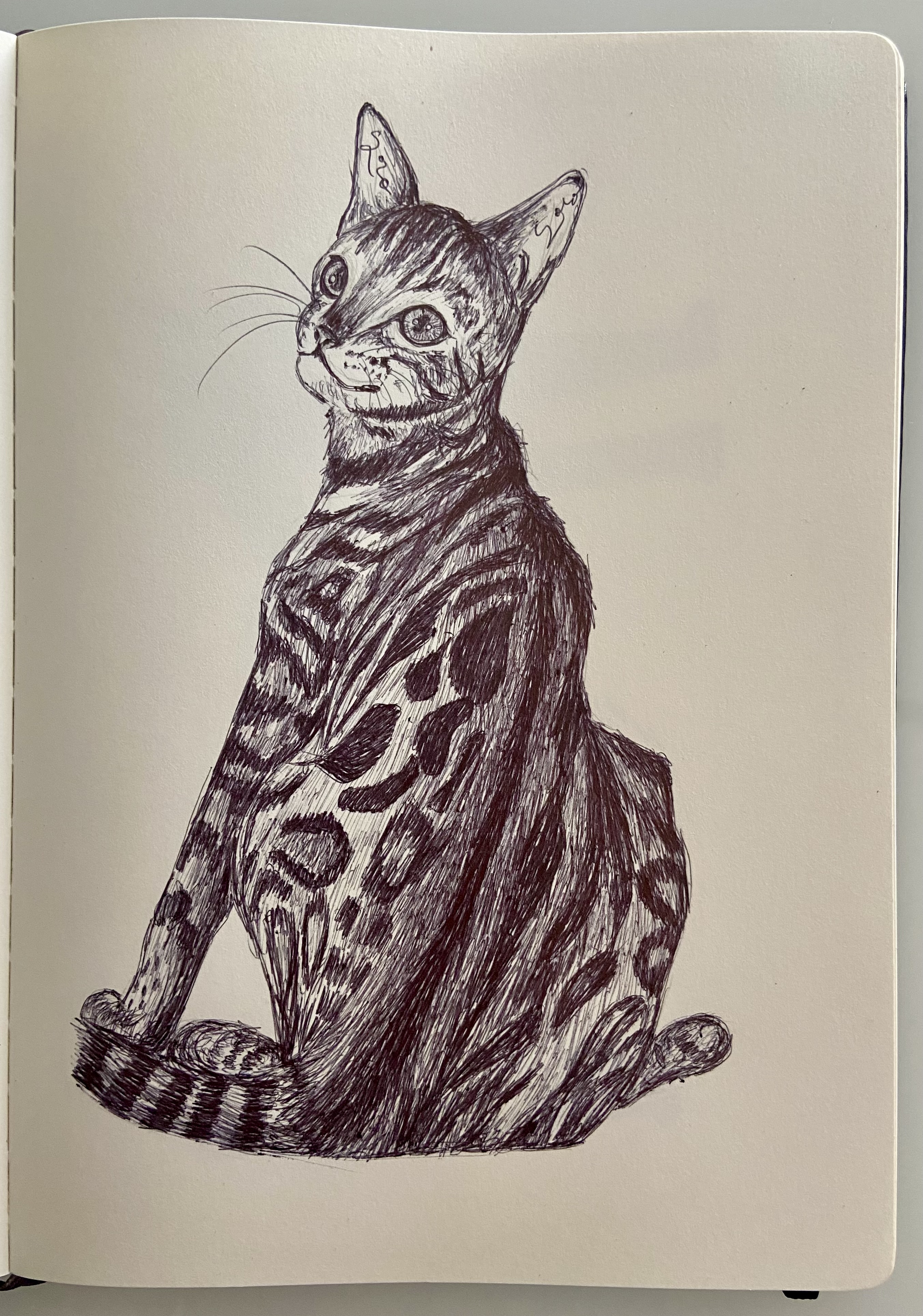Ballpen Cat 🐈‍⬛