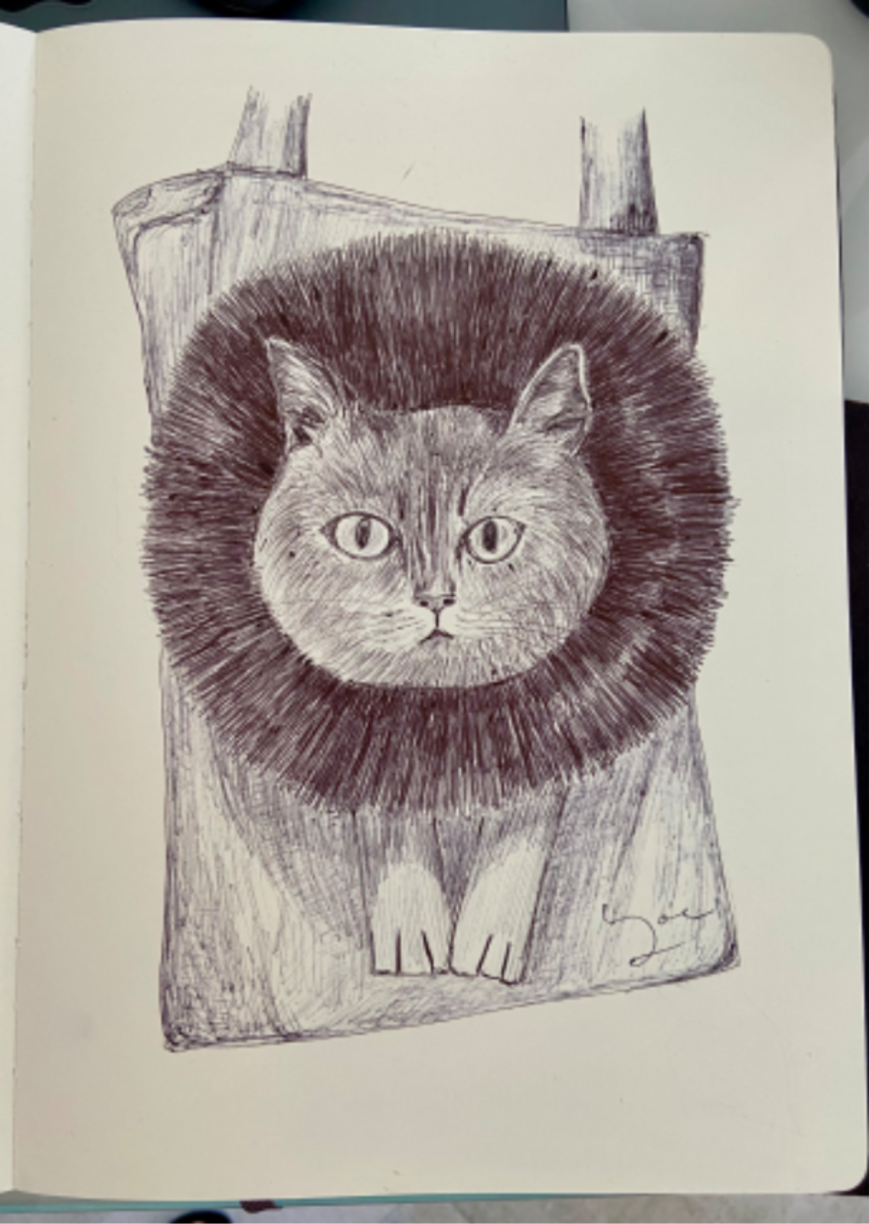 Ballpen Cat 🐈‍⬛