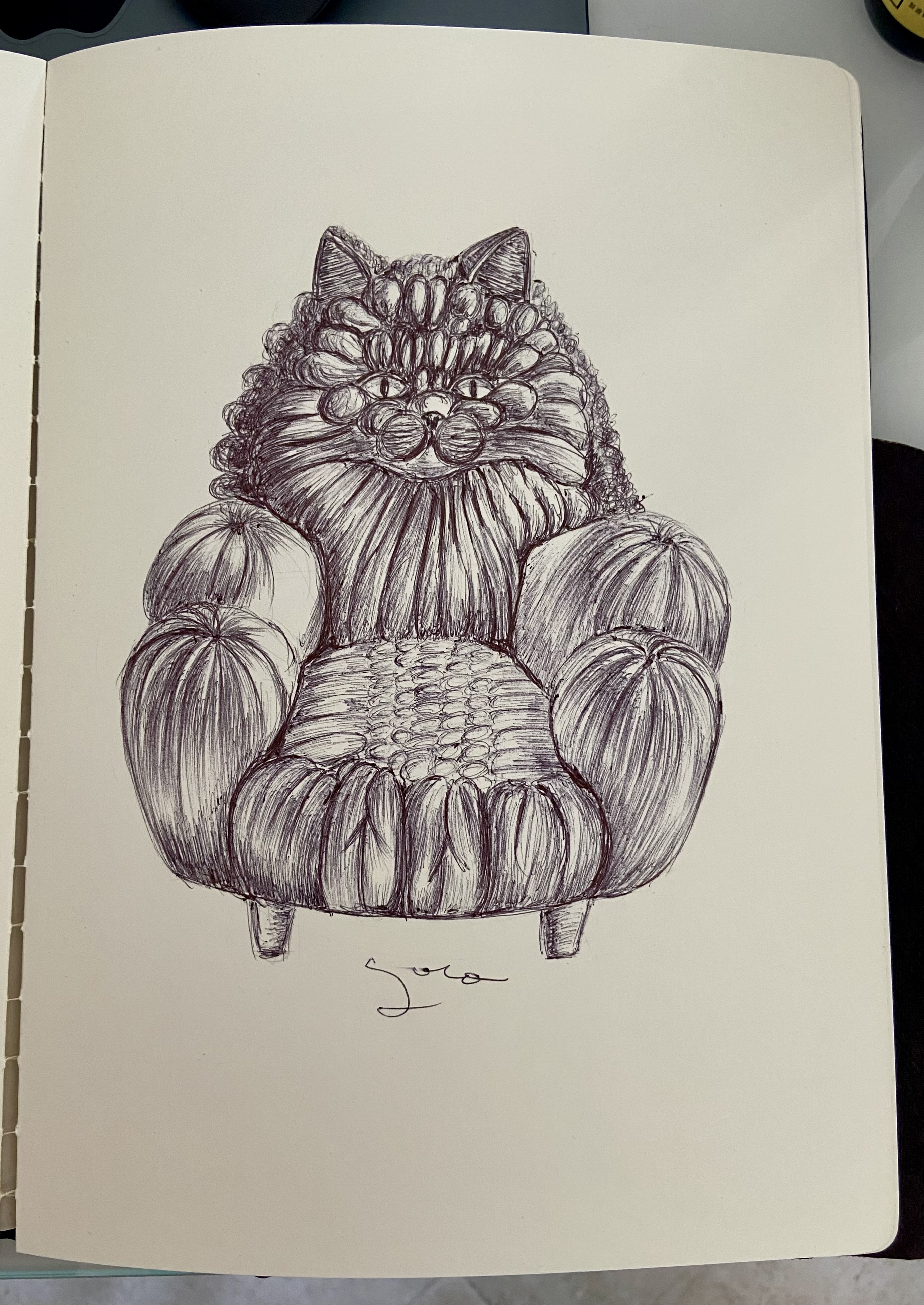 Ballpen Cat 🐈‍⬛ Chair 🪑