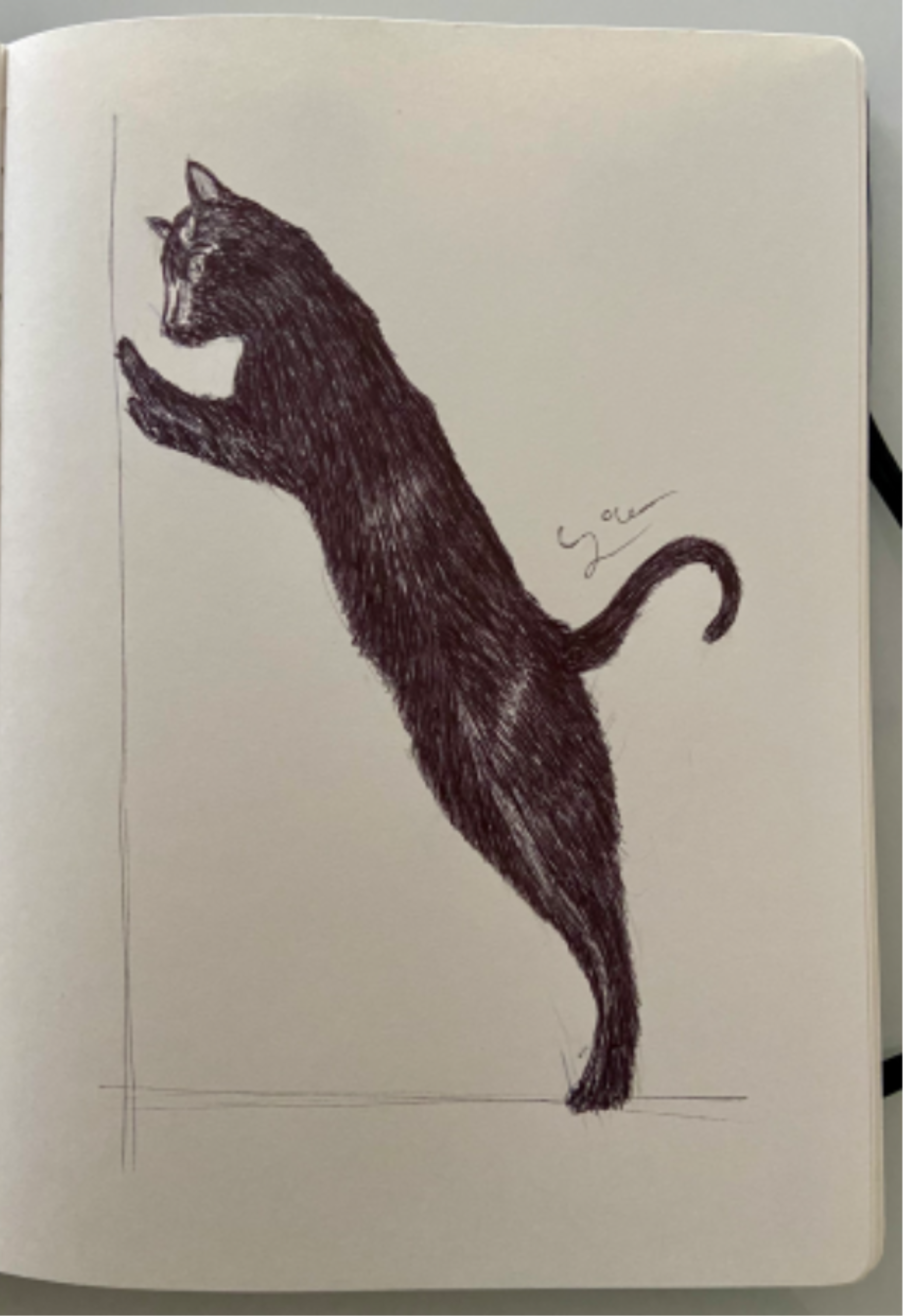 Ballpen Cat 🐈‍⬛