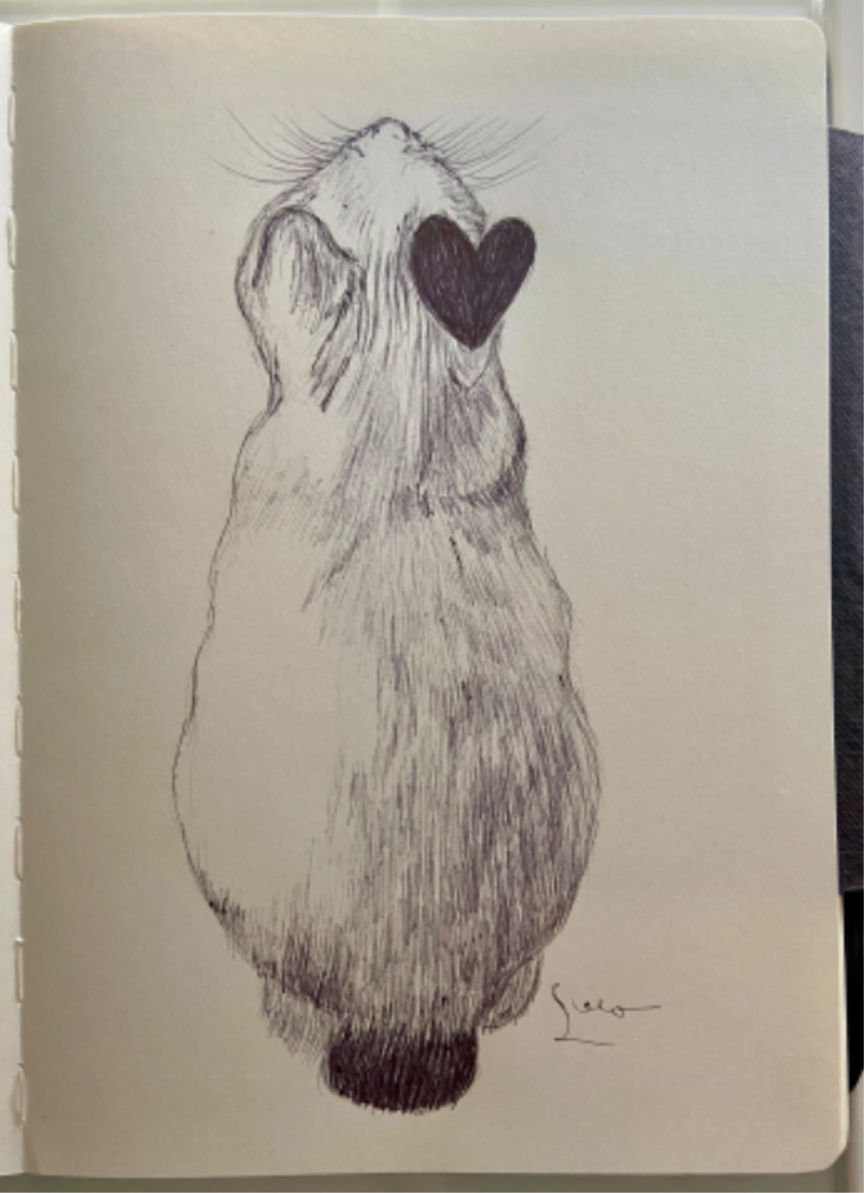 Ballpen Cat 🐈‍⬛