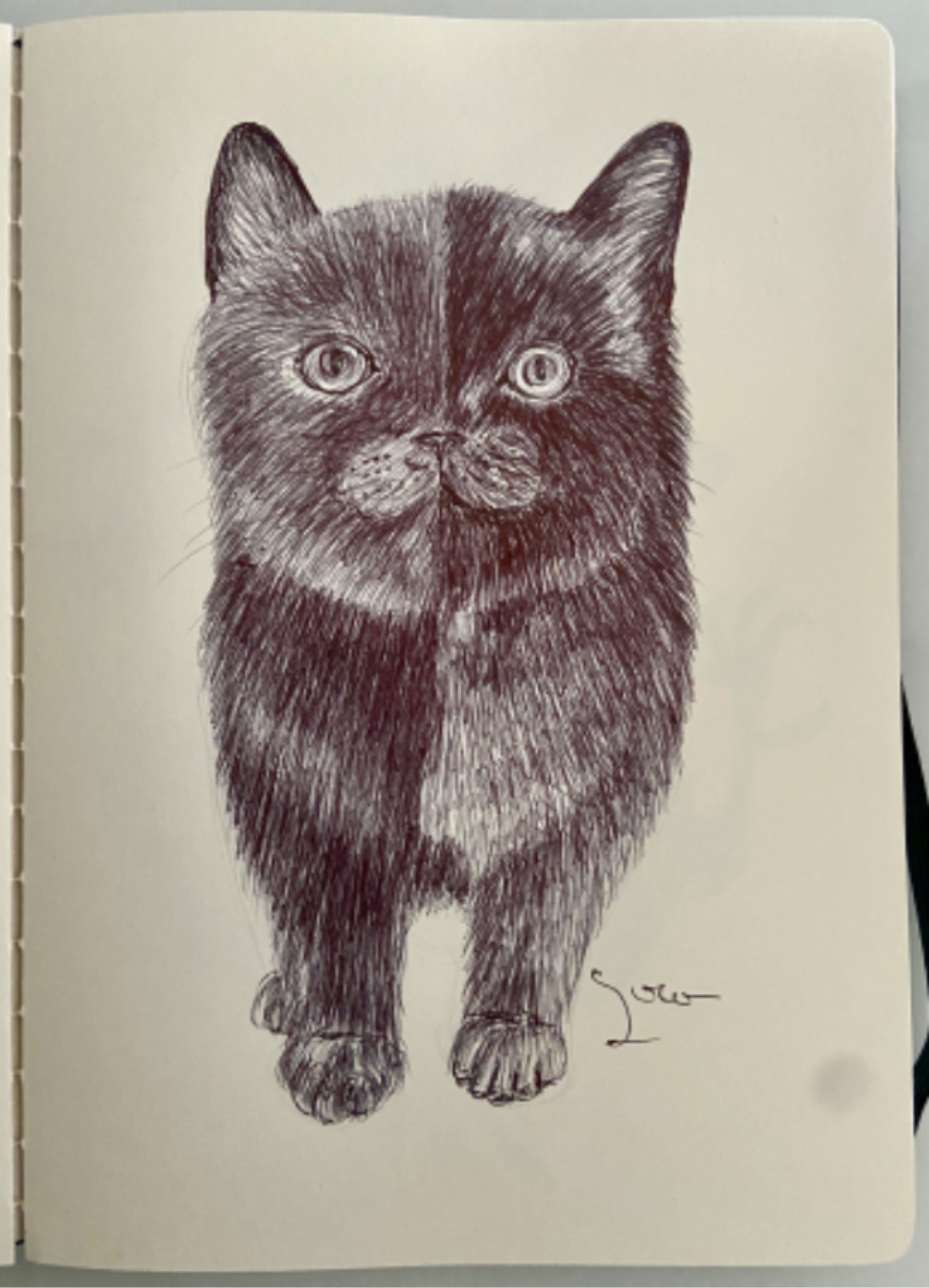 Ballpen Cat 🐈 🐈‍⬛