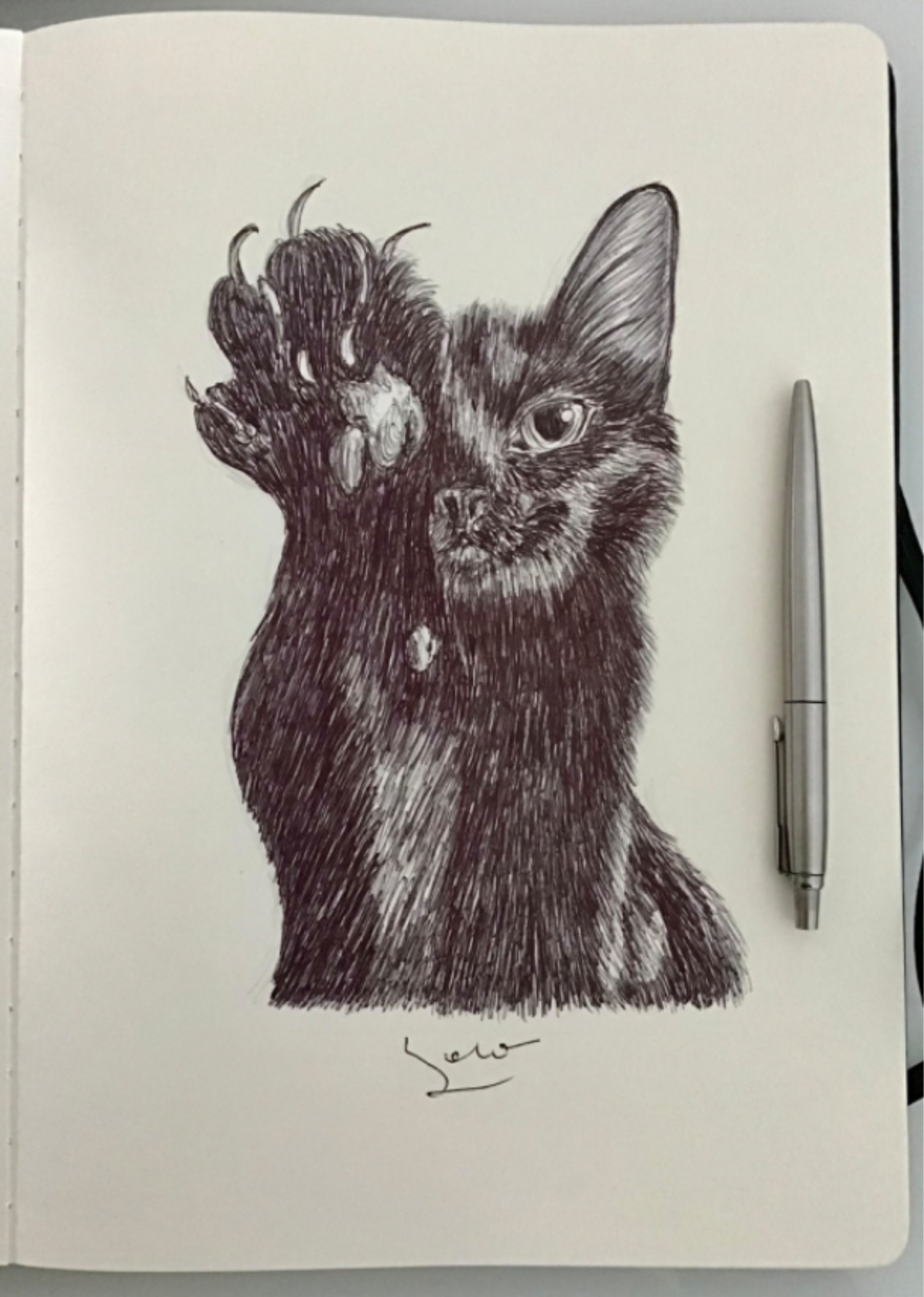 Ballpen Cat 🐈‍⬛