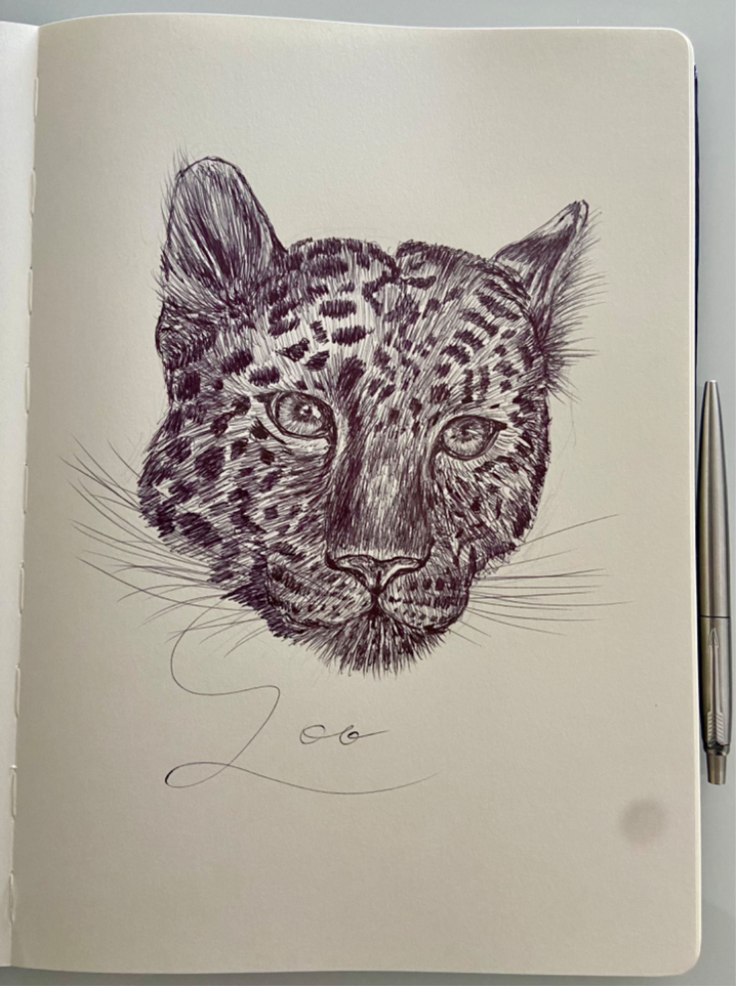 Ballpen Leopard 🐆