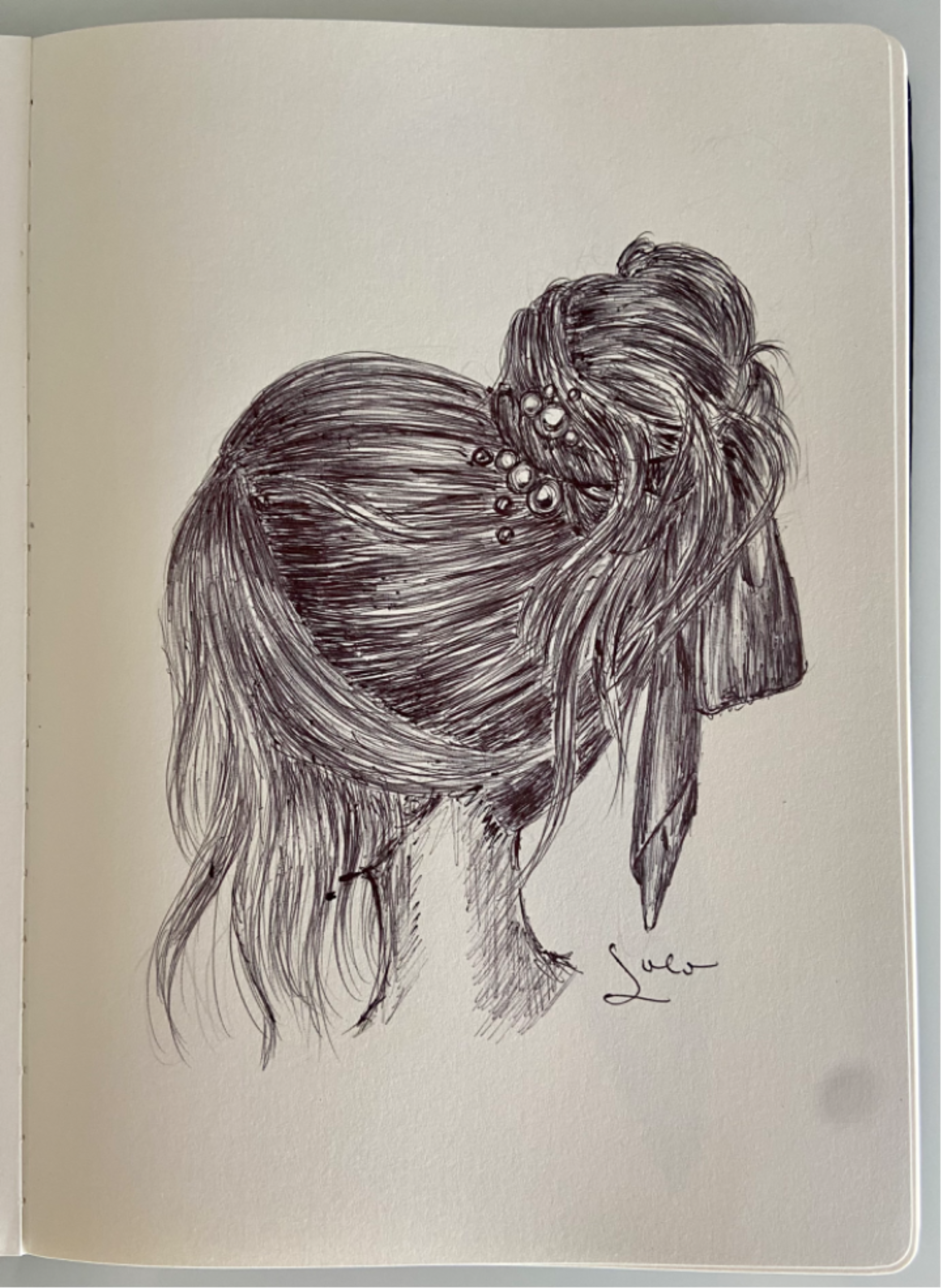 Ballpen Hairstyles 💇🏻‍♀️✨