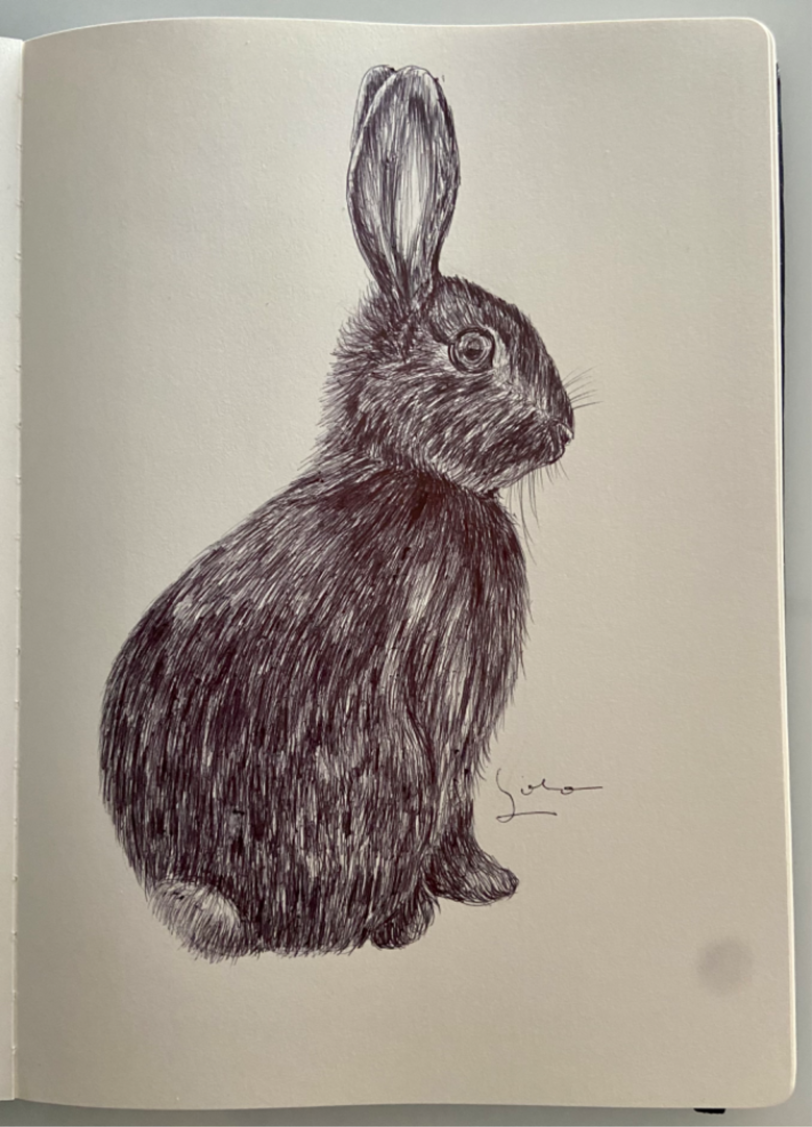 BallpointPen Rabbit 🐇