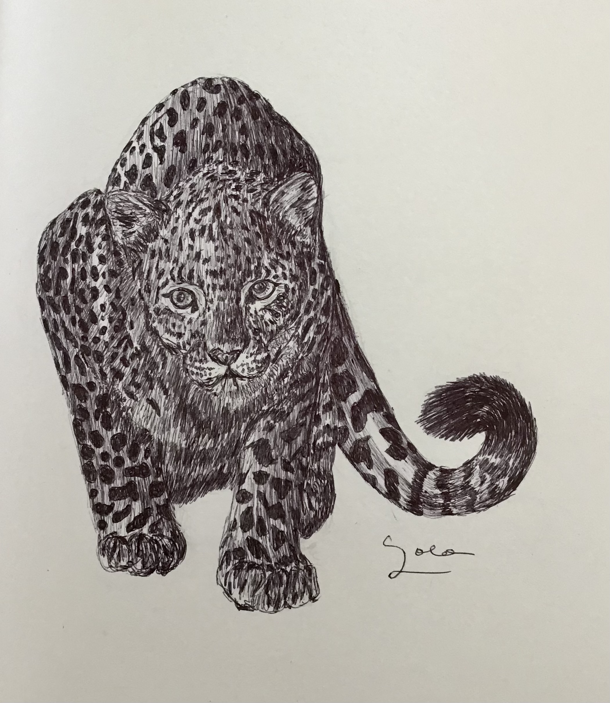 Ballpen Leopard 🐆