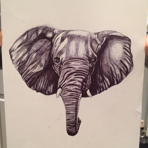 Biro drawing of an elephant