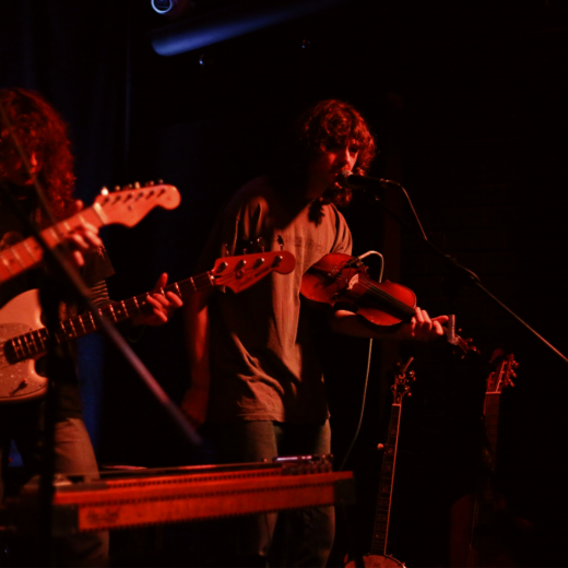 Brown Horse @ Where Else?, Margate 2024