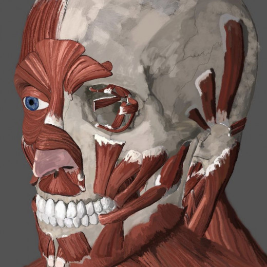 This is a digital mixed media drawing, of some of the many muscles that sculpt the face