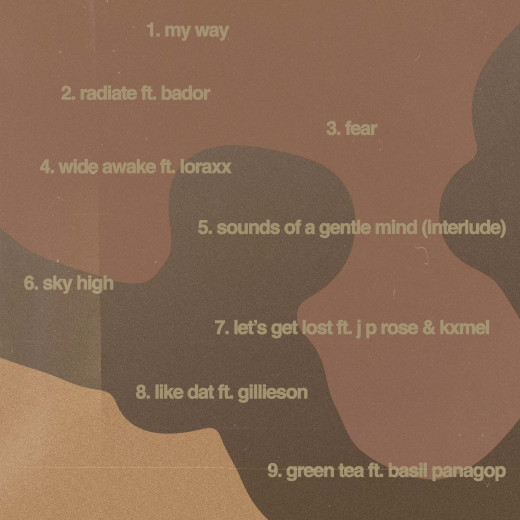 A concept track listing for Feux's album "PURE NINE"